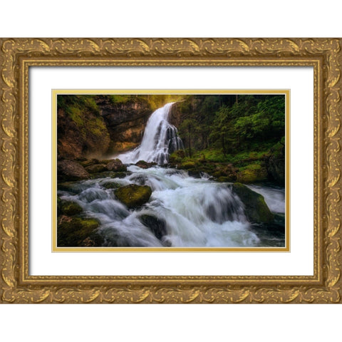 Spring Flood Gold Ornate Wood Framed Art Print with Double Matting by Gastager, Daniel