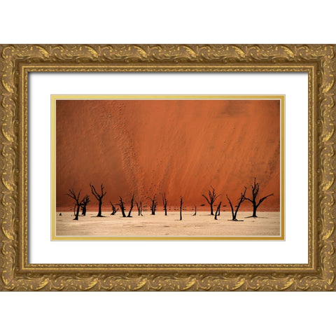 Deadvlei Gold Ornate Wood Framed Art Print with Double Matting by Hawerkamp, Hans-Wolfgang