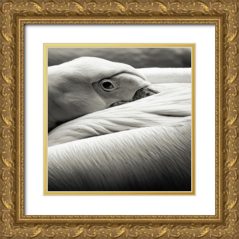 Pelican Gold Ornate Wood Framed Art Print with Double Matting by Berg, Riccardo