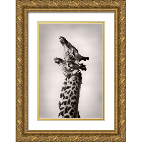 True Love Gold Ornate Wood Framed Art Print with Double Matting by WildPhotoArt