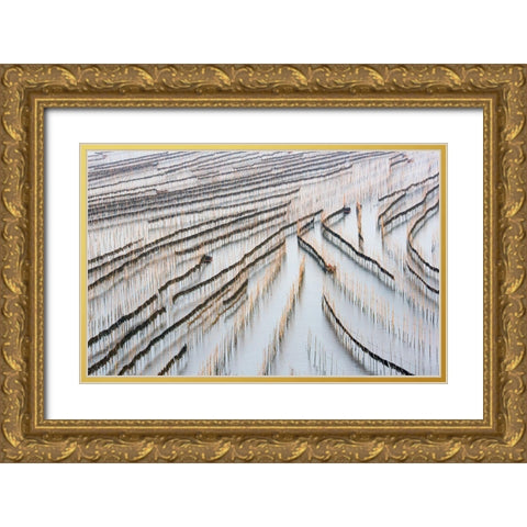 Harvesting Kelp Gold Ornate Wood Framed Art Print with Double Matting by Zhou, Xinhua