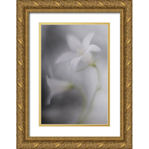 Bells Gold Ornate Wood Framed Art Print with Double Matting by Reindl, Doris