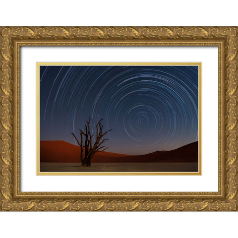 Star Trails Of Namibia Gold Ornate Wood Framed Art Print with Double Matting by Deakin, Karen