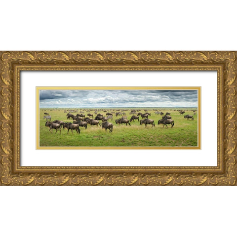 Great Migration In Serengeti Plains Gold Ornate Wood Framed Art Print with Double Matting by Trubitsyn, Kirill