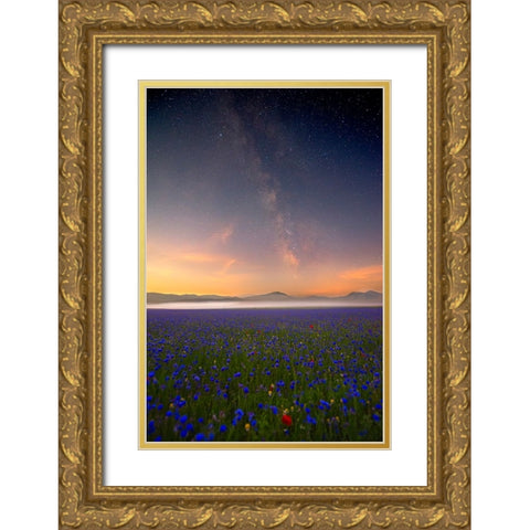 Night Flowers Gold Ornate Wood Framed Art Print with Double Matting by Marchegiani, Roberto