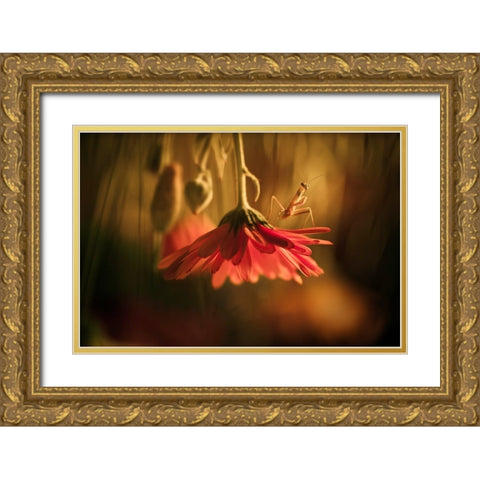 Nous Venons En Paix Gold Ornate Wood Framed Art Print with Double Matting by BRAVIN, Fabien