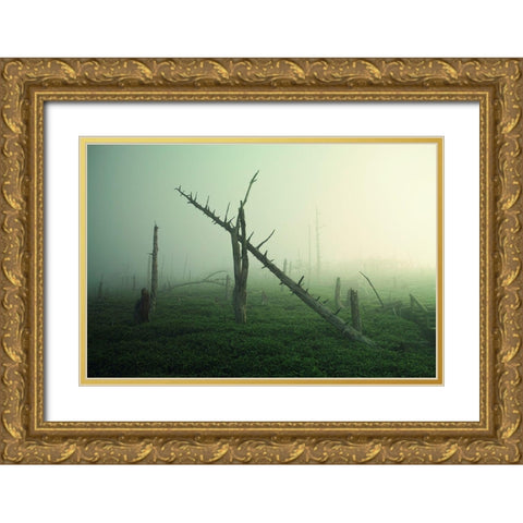 Beautiful Rot Gold Ornate Wood Framed Art Print with Double Matting by Sugimoto, Koji