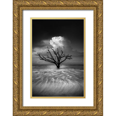 Oceanus Gold Ornate Wood Framed Art Print with Double Matting by Moore, Chris