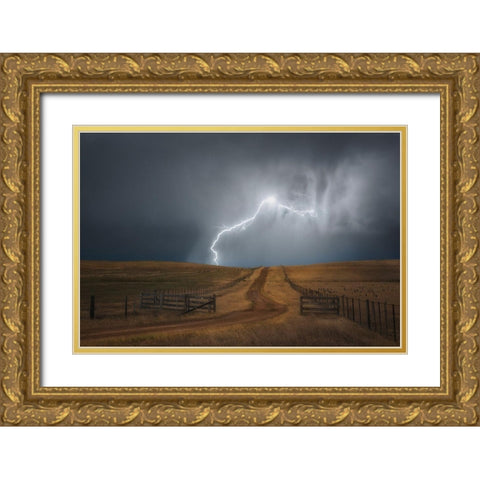Midlands Mayhem Gold Ornate Wood Framed Art Print with Double Matting by Stephens, Jason