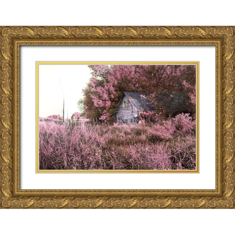 Pink Landscape 7 Gold Ornate Wood Framed Art Print with Double Matting by Entropy, Timothy