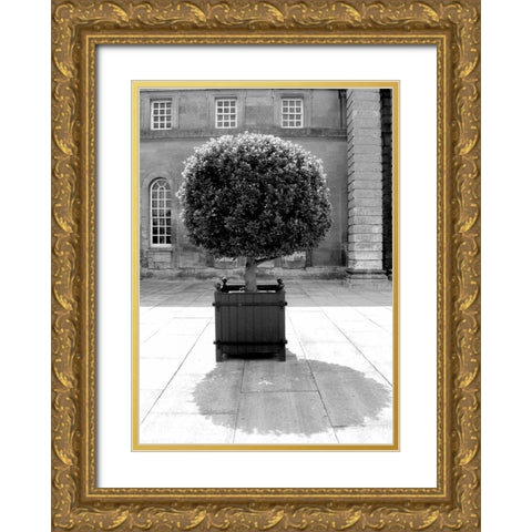 Architectural Detail, Blenheim Palace Gold Ornate Wood Framed Art Print with Double Matting by Blue, Cyril