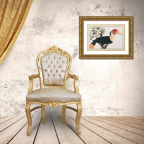 Ke-ke Hornbill Gold Ornate Wood Framed Art Print with Double Matting by Anonymous
