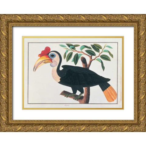 Ingang, Hornbill Gold Ornate Wood Framed Art Print with Double Matting by Anonymous