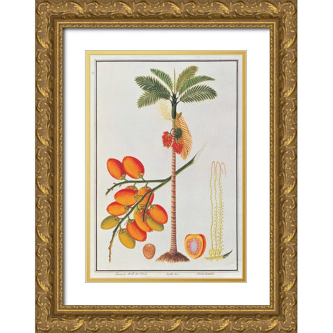 Penang Betle Nut Tree Gold Ornate Wood Framed Art Print with Double Matting by Anonymous