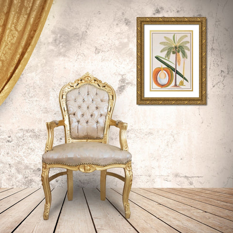Coconut Palm Gold Ornate Wood Framed Art Print with Double Matting by Anonymous