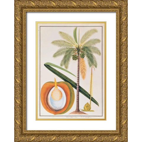 Coconut Palm Gold Ornate Wood Framed Art Print with Double Matting by Anonymous