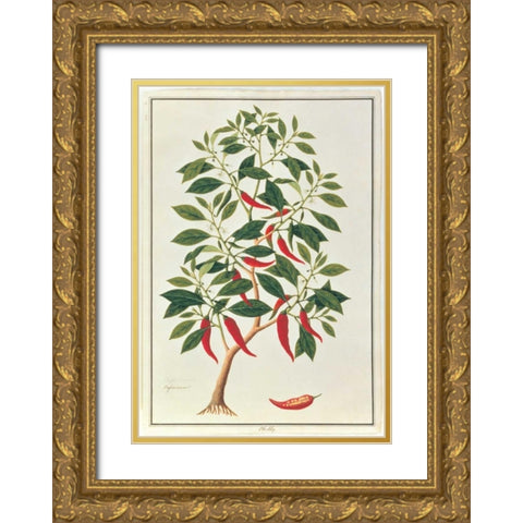 Chile Gold Ornate Wood Framed Art Print with Double Matting by Anonymous