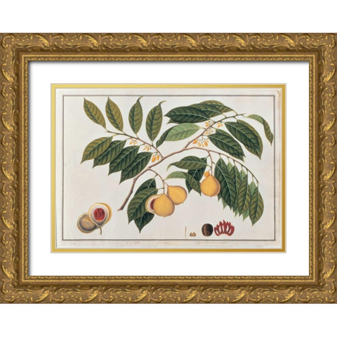 Nutmeg Gold Ornate Wood Framed Art Print with Double Matting by Anonymous