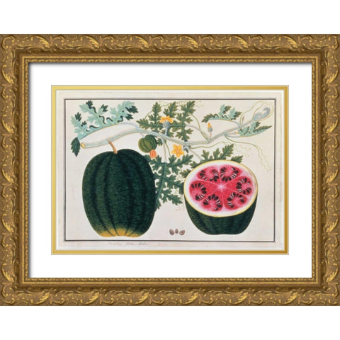 Watermelon Gold Ornate Wood Framed Art Print with Double Matting by Anonymous