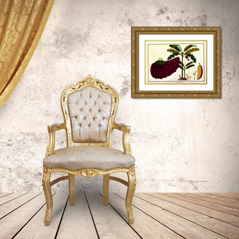 Banana Gold Ornate Wood Framed Art Print with Double Matting by Anonymous