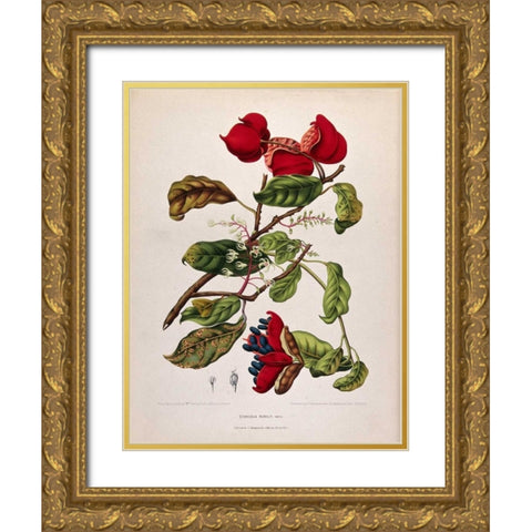 Chinese Chestnut Gold Ornate Wood Framed Art Print with Double Matting by Van Nooten, Madame