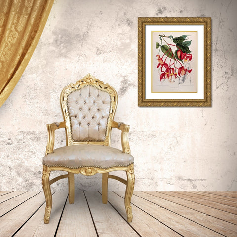 Orchid tree, Pride of Burma Gold Ornate Wood Framed Art Print with Double Matting by Van Nooten, Madame