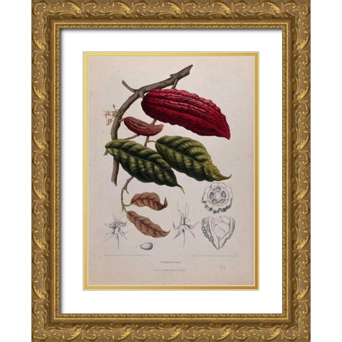 Cacao Gold Ornate Wood Framed Art Print with Double Matting by Van Nooten, Madame