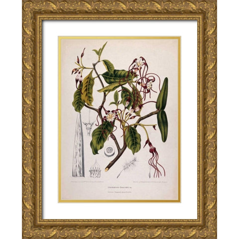 Twisted Cord Flower Gold Ornate Wood Framed Art Print with Double Matting by Van Nooten, Madame