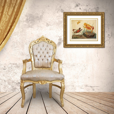 Spoonbill and Fantasy Stork Gold Ornate Wood Framed Art Print with Double Matting by Raineri, Carlo, Vittorio