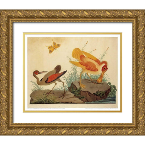 Spoonbill and Fantasy Stork Gold Ornate Wood Framed Art Print with Double Matting by Raineri, Carlo, Vittorio