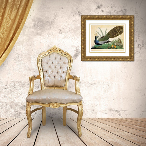 Peacock and Mole Gold Ornate Wood Framed Art Print with Double Matting by Raineri, Carlo, Vittorio