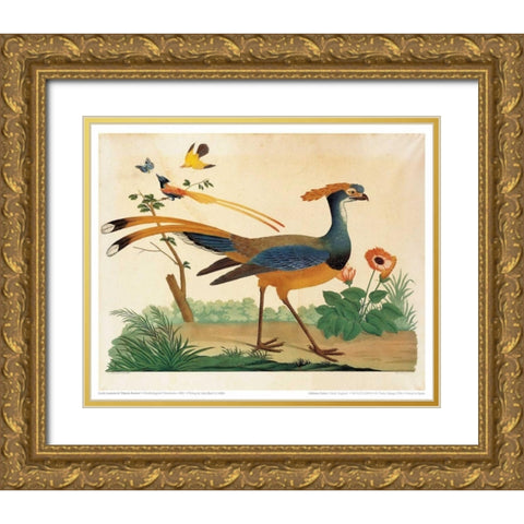 Flytrap, Little bird and Butterfly Gold Ornate Wood Framed Art Print with Double Matting by Raineri, Carlo, Vittorio