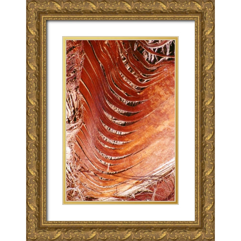 Palm Bark Gold Ornate Wood Framed Art Print with Double Matting by Blue, Cyril