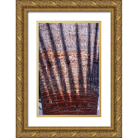 Date Palm Crown Gold Ornate Wood Framed Art Print with Double Matting by Blue, Cyril