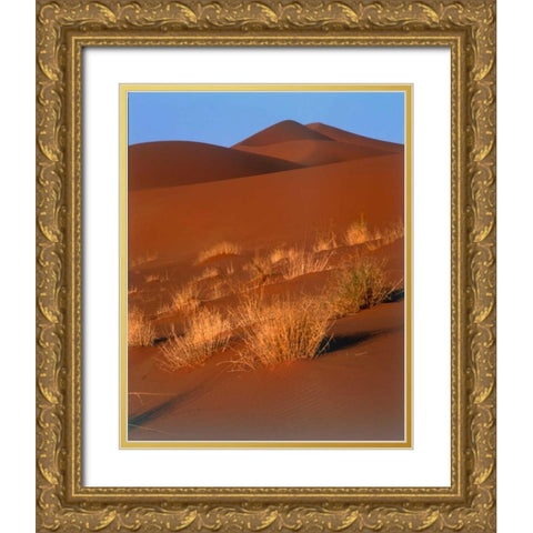 Grasses, Sand Dunes Sahara Gold Ornate Wood Framed Art Print with Double Matting by Blue, Cyril