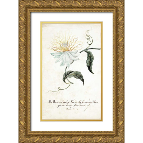 Passion Tree Gold Ornate Wood Framed Art Print with Double Matting by Markee, Cornelis