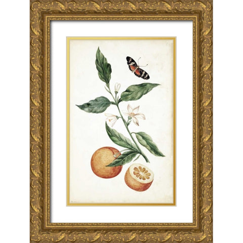 Orange Blossom Gold Ornate Wood Framed Art Print with Double Matting by Markee, Cornelis