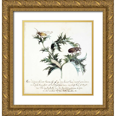 Thistle with Beetles Gold Ornate Wood Framed Art Print with Double Matting by Markee, Cornelis