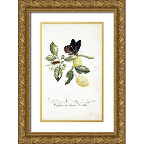 Limmetijen Tree, Butterflies Gold Ornate Wood Framed Art Print with Double Matting by Markee, Cornelis