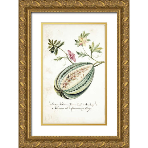 Watermelon, Leaves, Butterfly Gold Ornate Wood Framed Art Print with Double Matting by Markee, Cornelis