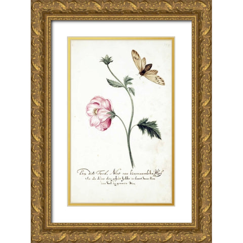 Anemone, Surinam Fly Gold Ornate Wood Framed Art Print with Double Matting by Markee, Cornelis