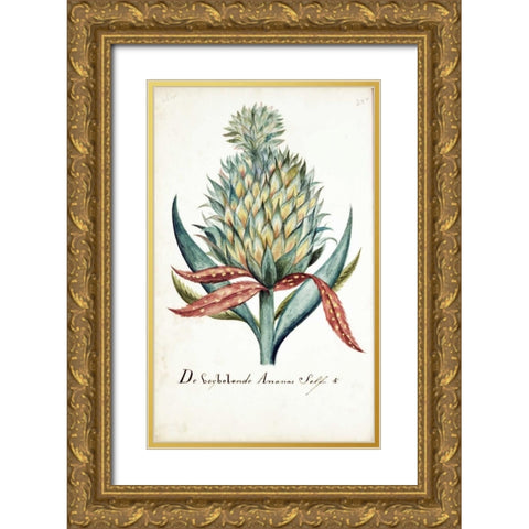 Pineapple Gold Ornate Wood Framed Art Print with Double Matting by Markee, Cornelis