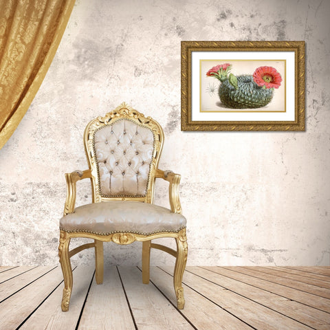 Cactus Gold Ornate Wood Framed Art Print with Double Matting by Curtis, William