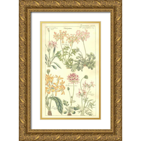 Geraniums Gold Ornate Wood Framed Art Print with Double Matting by Dietrich, David