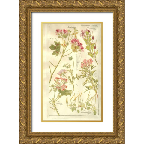 Geraniums Gold Ornate Wood Framed Art Print with Double Matting by Dietrich, David