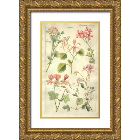 Geraniums Gold Ornate Wood Framed Art Print with Double Matting by Dietrich, David