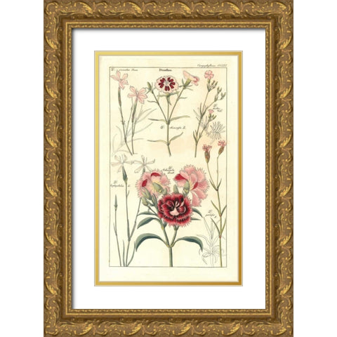 Carnations Gold Ornate Wood Framed Art Print with Double Matting by Dietrich, David