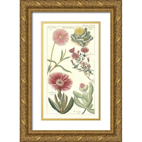 Ice Plant Gold Ornate Wood Framed Art Print with Double Matting by Dietrich, David