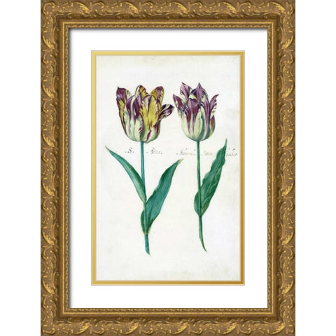 Tullips Gold Ornate Wood Framed Art Print with Double Matting by De Bray, Dirck