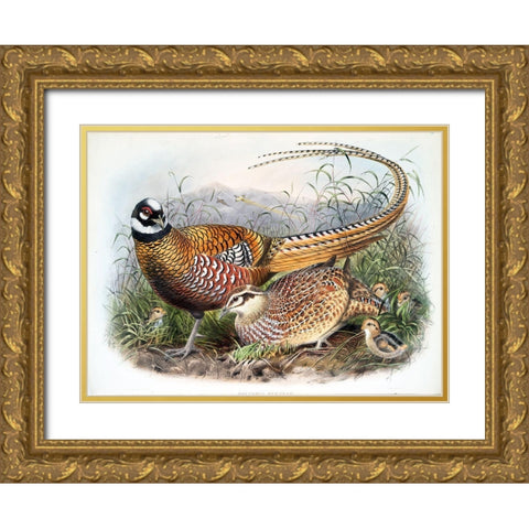 Reeves Pheasants Gold Ornate Wood Framed Art Print with Double Matting by Elliot, David